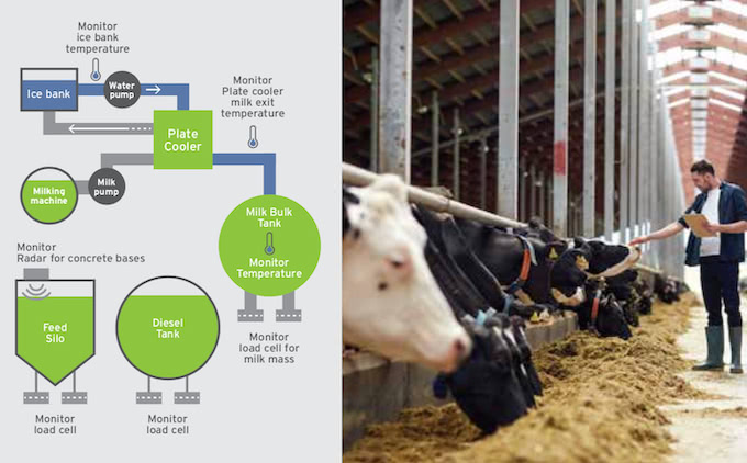 Shock Wave Engineering - IoT Dairy Optimiser Installation